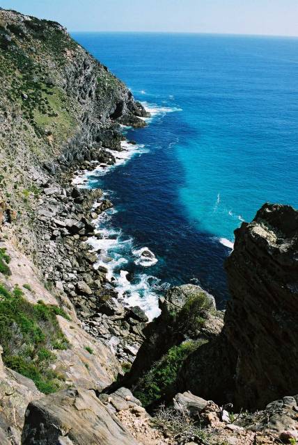 Scott Cove