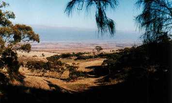 Condowie Plain