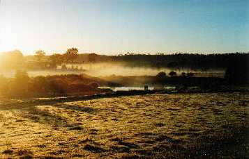 Sun shining through mist, 'Elysium', Armagh, Clare Valley, 
S. Australia
