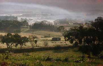 Across the Blyth road, from 'Elysium'