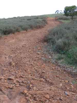 Stony track