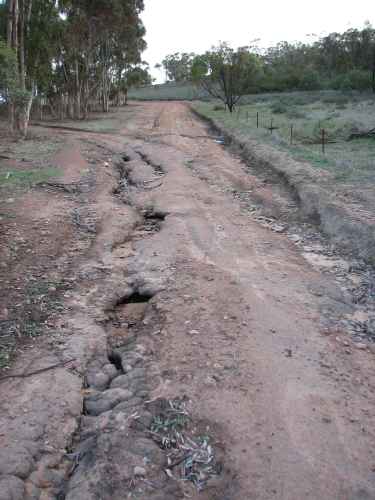 Rutted track