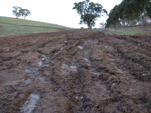 Newly ploughed-up