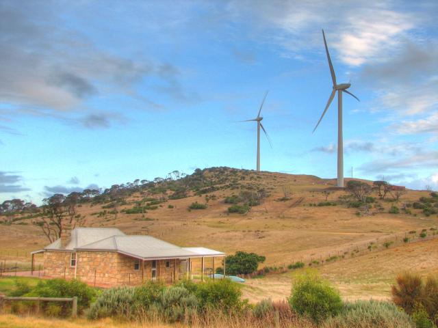 Cape Bridgewater