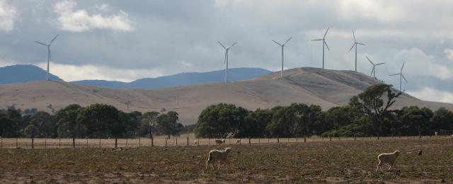 Turbines on ridge