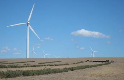 Emu downs turbines