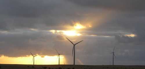Emu downs turbine
