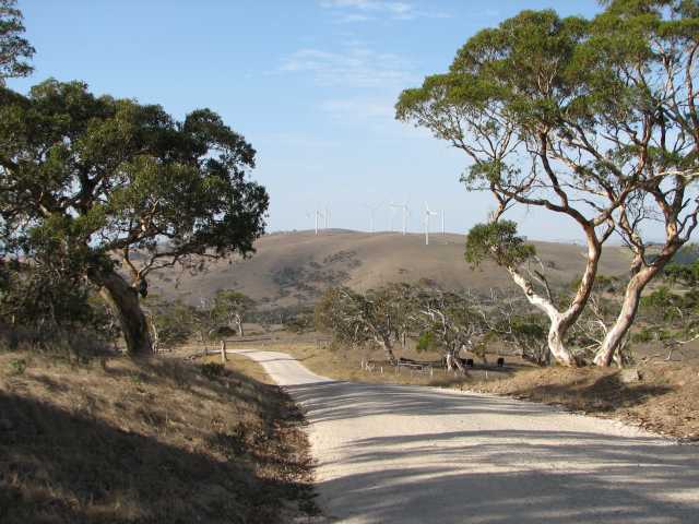 Starfish Hill wind turbines