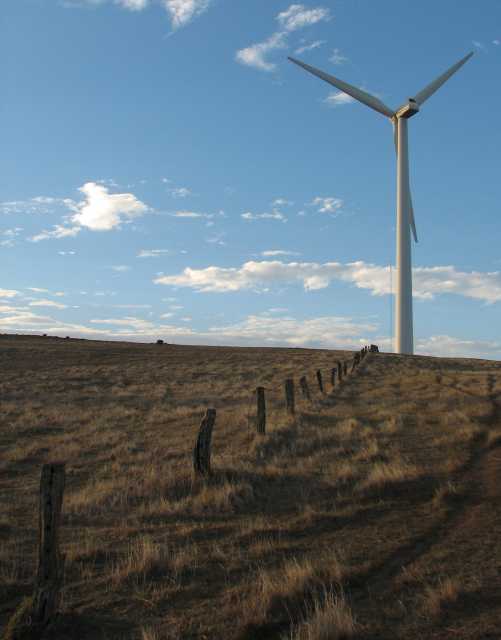 Starfish Hill wind turbine