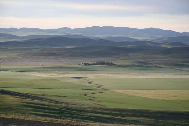 Looking east