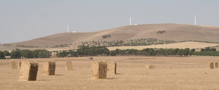 Hallett Hill wind farm