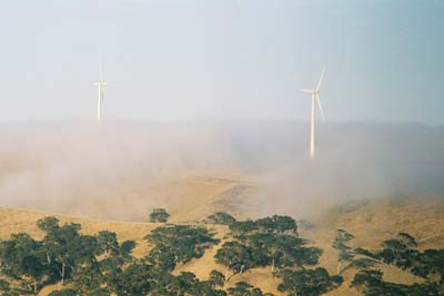 Starfish Hill with sea mist