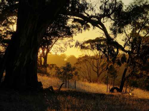 Clare Valley, South Australia