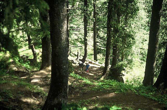 Manali hill climb