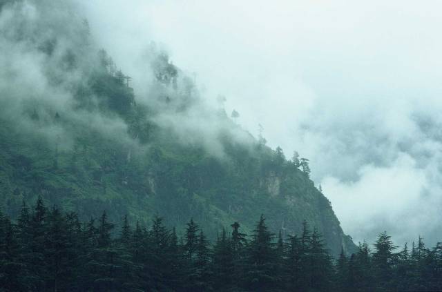 Manali hillside