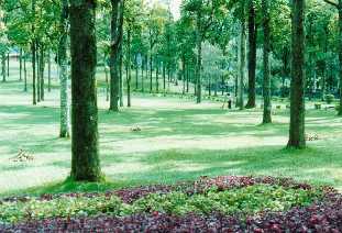 Botanical Garden, Candikuning, Bali