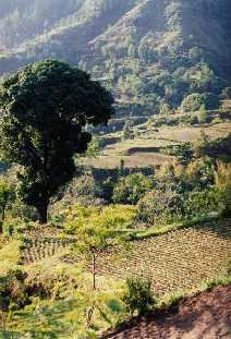 On the edge of Lake Batur caldera