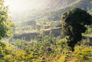 From the drive down into the Lake Batur caldera