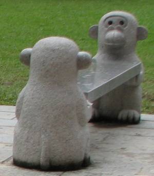 Monkey bench