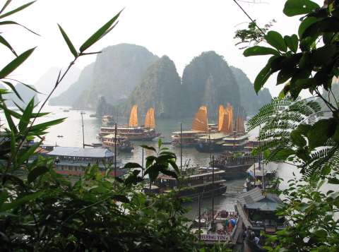 Halong boats