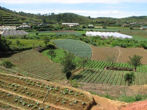 Gardens