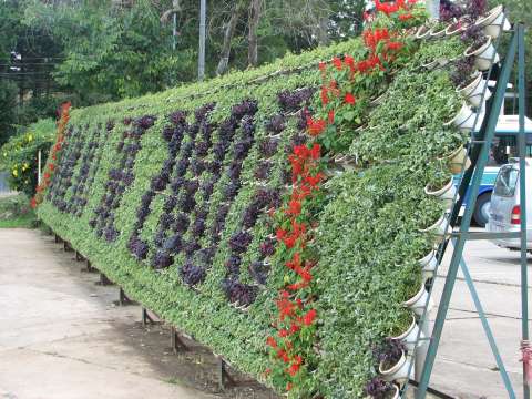 Dalat Flower Garden