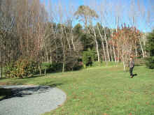 front lawn.jpg (95567 bytes)