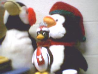 Welcome to Penguin-topia