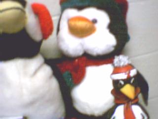 Welcome to Penguin-topia