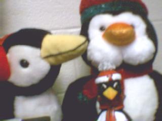 Welcome to Penguin-topia