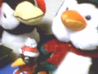 Welcome to Penguin-topia