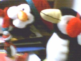 Welcome to Penguin-topia