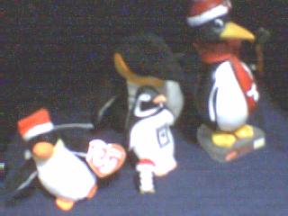 Welcome to Penguin-topia