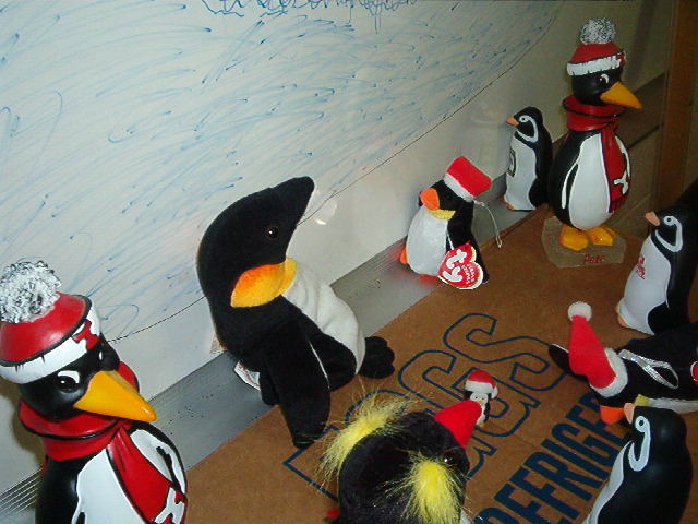 Welcome to Penguin-topia