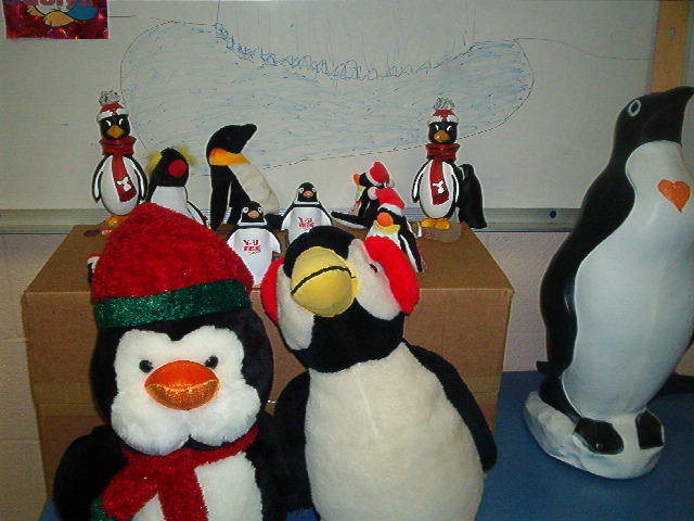 Welcome to Penguin-topia