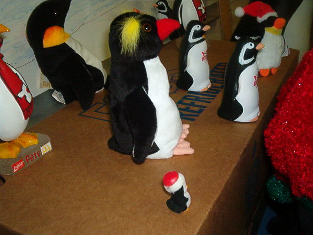 Welcome to Penguin-topia