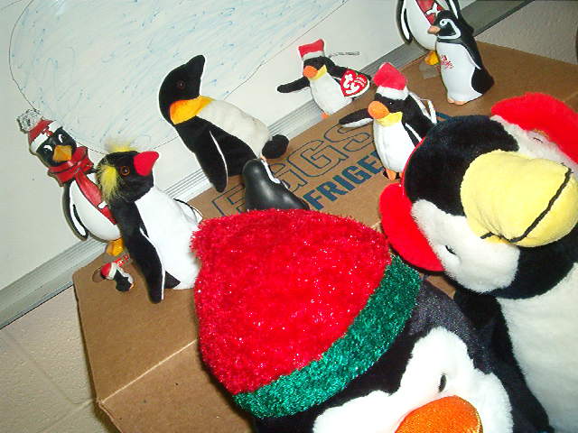 Welcome to Penguin-topia