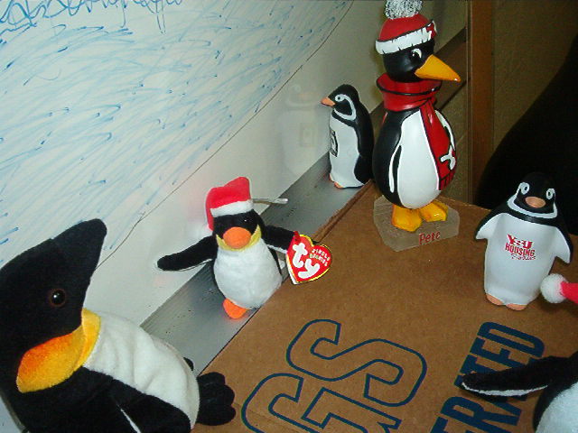 Welcome to Penguin-topia