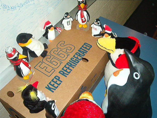 Welcome to Penguin-topia