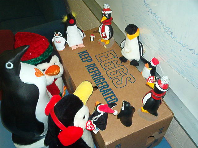Welcome to Penguin-topia