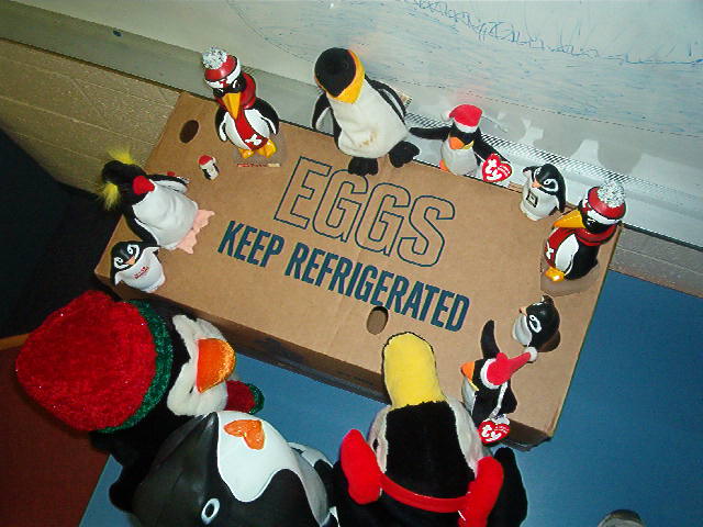 Welcome to Penguin-topia