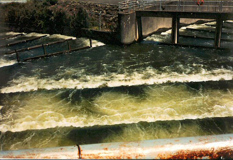 Fish ladders connecting the Hood River to the Columbia