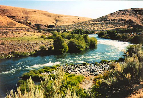 The Deschutes River next to our campsite