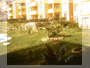 [3bed/2bath Riviera del Sol - for rent]