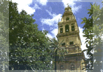 [Excursion to Cordoba]