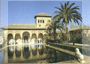 [V.I.P. excursions, air-conditioned buses, professional guides, full insurance for the passengers]