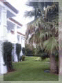 [2bed/2bath ground floor apartment for long term rent]