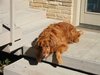 re_101-0200_IMG.jpg
83.44 KB 
800 x 600 
