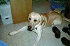 re_50383_05.jpg
67.89 KB 
800 x 600 
