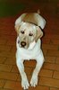 re_50383_35.jpg
44.38 KB 
800 x 600 
